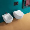 Ceramic wall-hung sanitary wc without a rim including toilet cover model "KING"