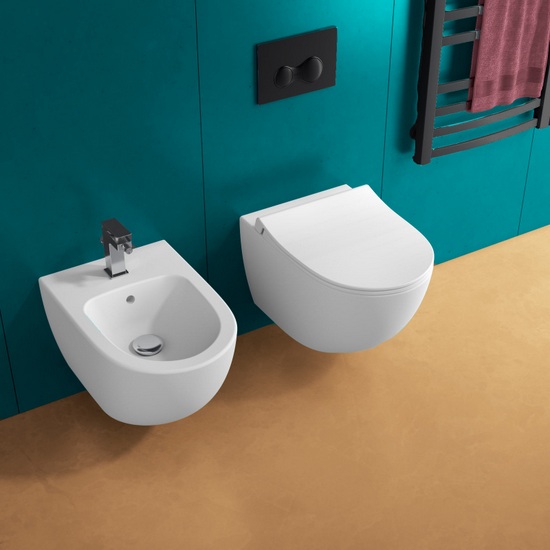 Ceramic wall-hung sanitary wc without rim including toilet cover model